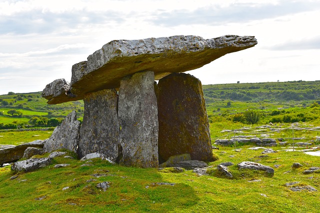 Kinvarra: Burren Nature Sanctuary